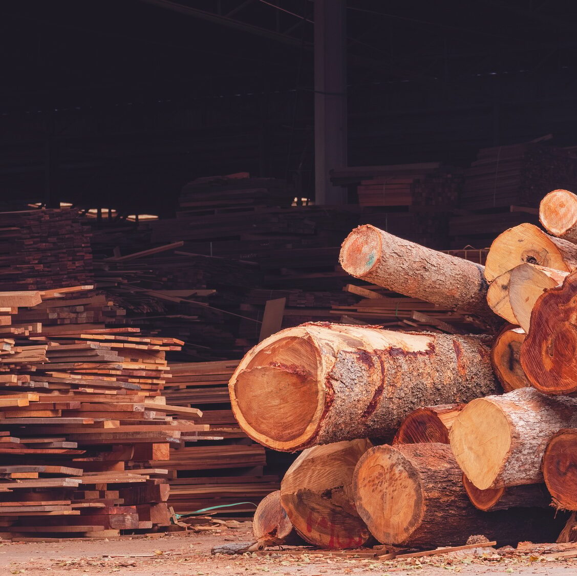 Pile of wood logs with many lumber in large warehouse at wooden processing industrial factory